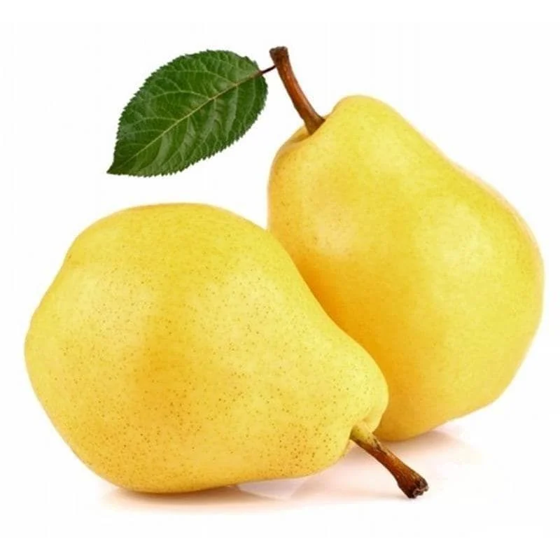Круша Уилямс червена България
