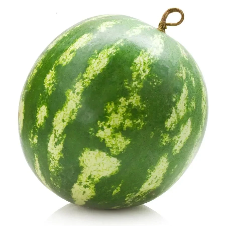 Диня Гърция