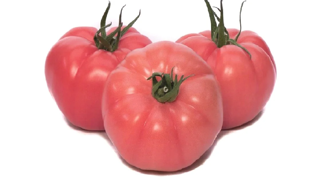 Домат розов Екстра България