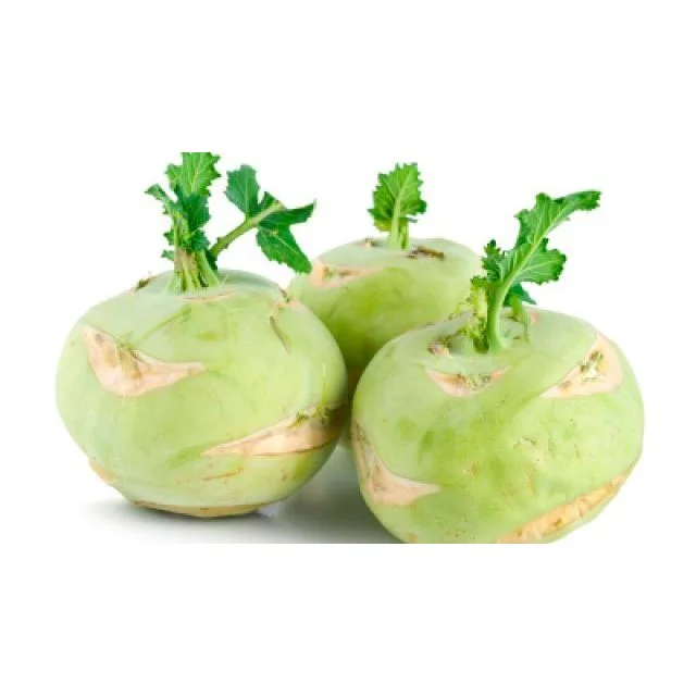 Алабаш България