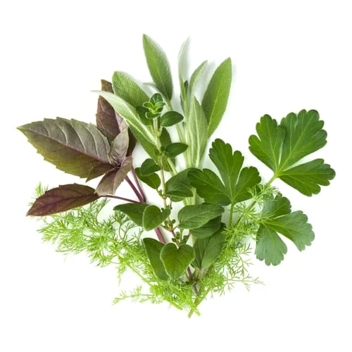 Пресни подправки image