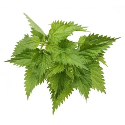 Коприва България 0,125 GreenToGo