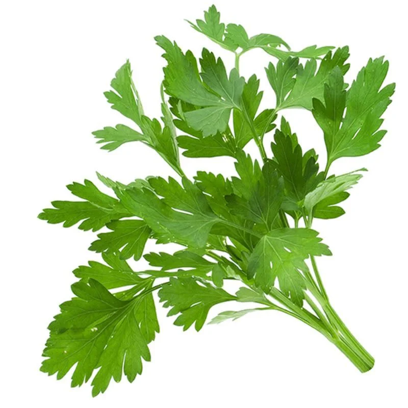 Кориандър България 0,020 GreenToGo